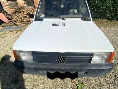 Usata Fiat Panda Dynamic 60 CV (44 kW) 2002 Bianco Utilitaria
