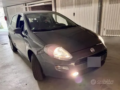 Usata Fiat Punto Lounge 77 CV (56 kW) 2017 Grigio Utilitaria