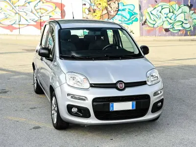 Usata Fiat Panda Easy 69 CV (50 kW) 2016 Argento Utilitaria