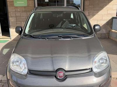 Usata Fiat Panda S 69 CV (50 kW) 2023 Grigio Utilitaria