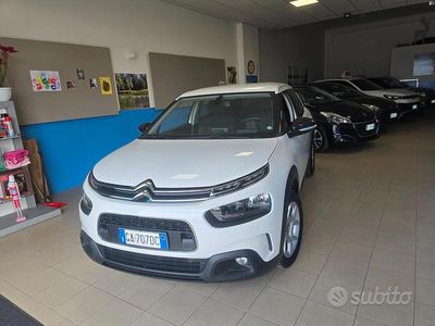 Usata Citroën C4 Cactus Shine 102 CV (75 kW) 2020 Bianco Utilitaria