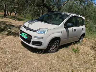 Usata Fiat Panda 54 CV (39 kW) 2013 Marrone Utilitaria