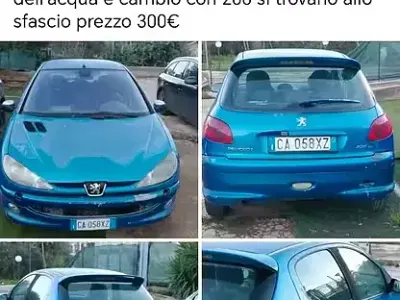 Usata Peugeot 206