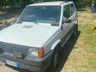 Usata Fiat Panda 4x4