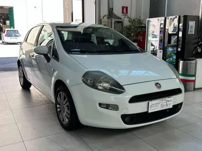 Usata Fiat Punto Easy 75 CV (55 kW) 2013 Bianco Utilitaria