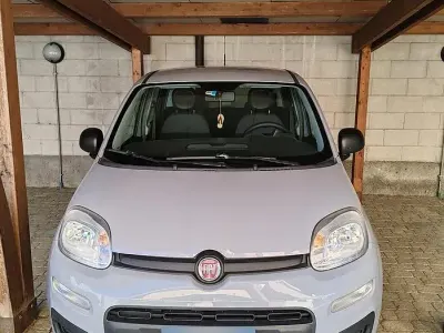 Usata Fiat Panda 69 CV (50 kW) 2018 Grigio Utilitaria