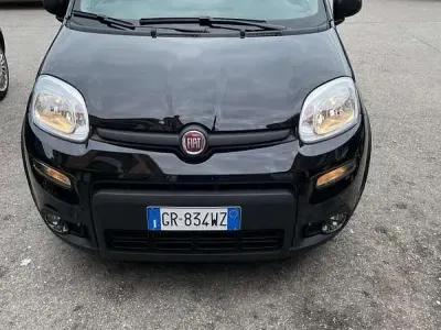 Usata Fiat Panda