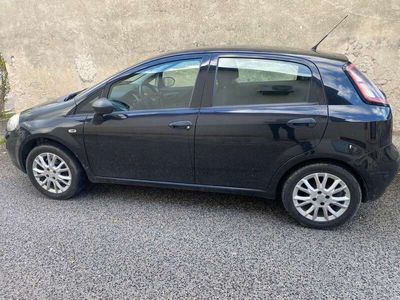 usata Fiat Punto Evo 5p 1.2 Active 65cv