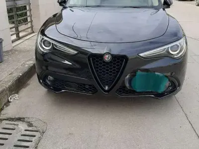 Usata Alfa Romeo Stelvio Executive 209 CV (153 kW) 2018 SUV