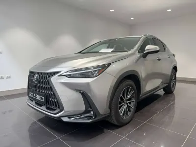 Usata Lexus NX350h 190 CV (139 kW) 2023 Grigio sonic titanium SUV
