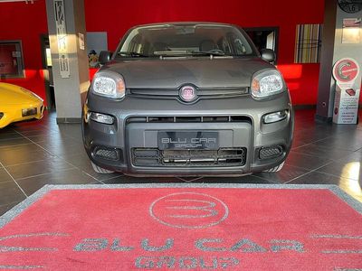 Usata Fiat Panda 70 CV (51 kW) 2023 Grigio Utilitaria