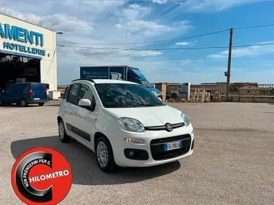 Usata Fiat Panda Lounge 80 CV (58 kW) 2016 Bianco Utilitaria