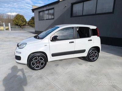 Usata Fiat Panda 4x4 Pop 85 CV (62 kW) 2021 Bianco Utilitaria