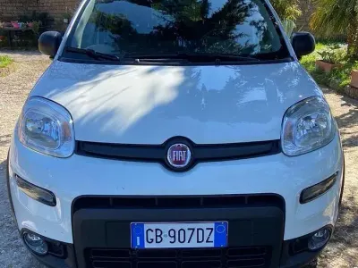 Usata Fiat Panda 4x4 85 CV (62 kW) 2020 Bianco Utilitaria