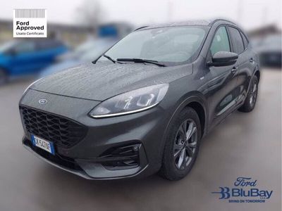 usata Ford Kuga 1.5 EcoBlue 120 CV 2WD ST-Line usato