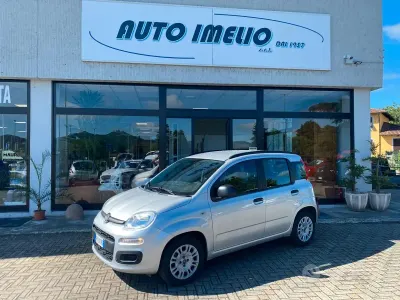 Usata Fiat Panda Lounge 69 CV (50 kW) 2017 Grigio Utilitaria