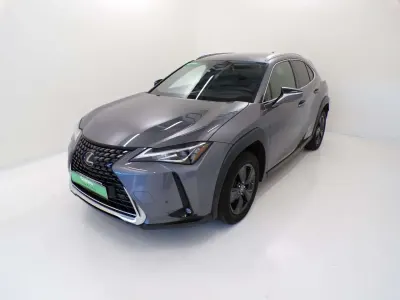 Usata Lexus UX 250h