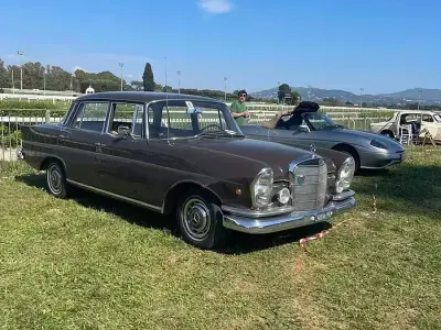 Usata Mercedes 220 SE 1960 Marrone Berlina