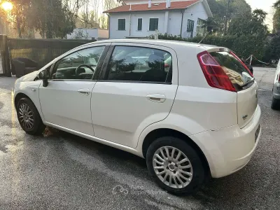 Usata Fiat Grande Punto Dynamic 77 CV (56 kW) 2008 Bianco Utilitaria