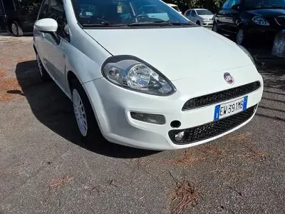 Usata Fiat Punto 75 CV (55 kW) 2015 Bianco Utilitaria