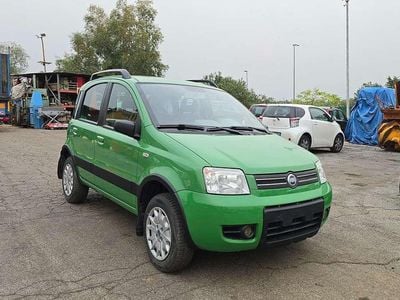 Usata Fiat Panda 4x4 60 CV (44 kW) 2006 Verde Utilitaria