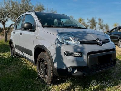 Usata Fiat Panda 4x4 2018 Grigio Utilitaria