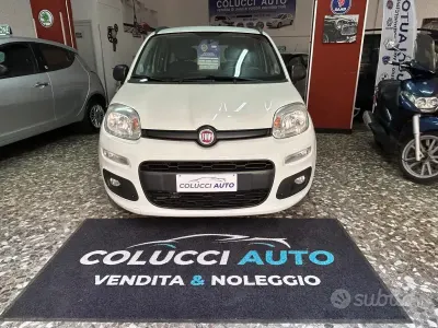 Usata Fiat Panda 80 CV (58 kW) 2013 Bianco Utilitaria