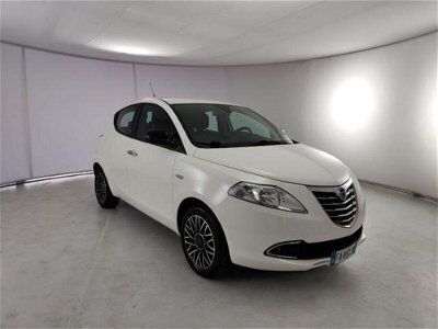 usata Lancia Ypsilon 1.2 69 CV 5 porte Platinum