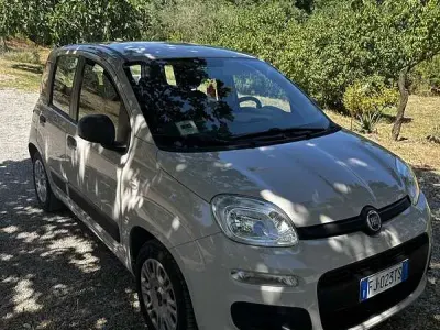 Usata Fiat Panda 69 CV (50 kW) 2017 Utilitaria