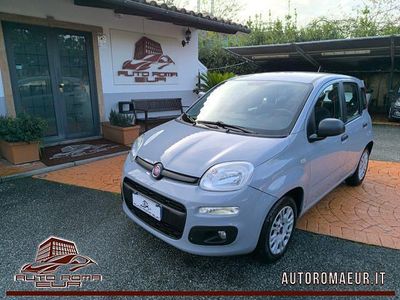 Usata Fiat Panda Easy 69 CV (50 kW) 2021 Grigio Utilitaria