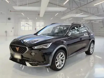 Usata Cupra Formentor