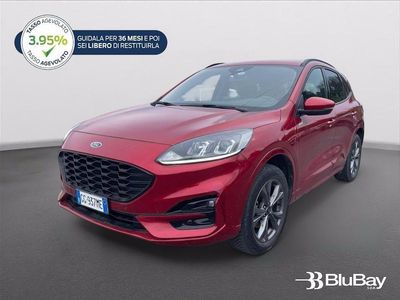 Usata Ford Kuga ST-Line 225 CV (165 kW) 2021 Rosso SUV
