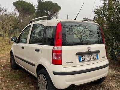 Usata Fiat Panda 77 CV (56 kW) 2010 Bianco Utilitaria