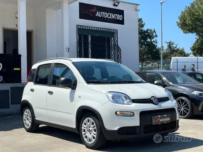 Usata Fiat Panda S 69 CV (50 kW) 2024 Bianco Utilitaria