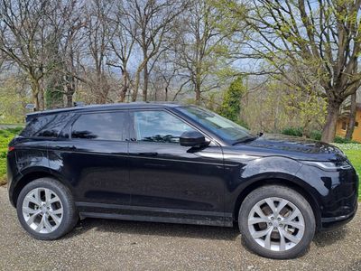 Usata Land Rover Range Rover 2019 Nero SUV