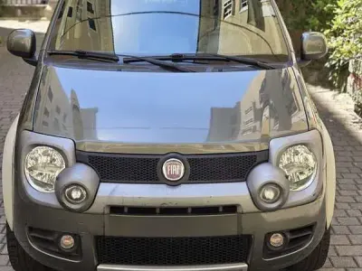 Usata Fiat Panda 4x4 69 CV (50 kW) 2011 Verde Utilitaria