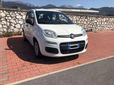 usata Fiat Panda 1.2 Easy 69cv