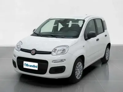 Nuova Fiat Panda Icon 65 CV (47 kW) 2026 Bianco gelato pastello Utilitaria