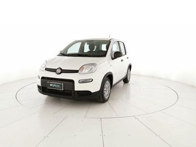 usata Fiat Panda 1.0 firefly hybrid s&s 70cv