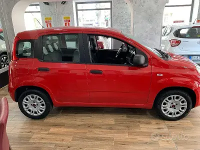 Usata Fiat Panda Easy 69 CV (50 kW) 2019 Rosso Utilitaria