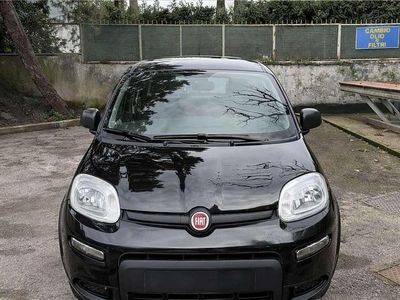 Usata Fiat Panda City Life 69 CV (50 kW) 2023 Utilitaria