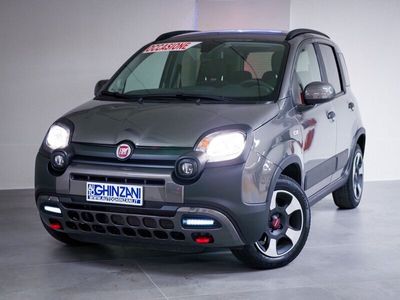 usata Fiat Panda Cross Cross 1.0 FireFly S&S Hybrid del 2023 usata a San Paolo d'Argon