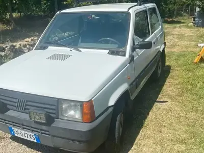 Usata Fiat Panda 4x4 54 CV (39 kW) 2003 Bianco Utilitaria