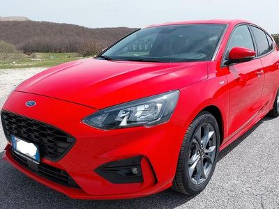 Usata Ford Focus ST-Line 125 CV (91 kW) 2020 Rosso Berlina