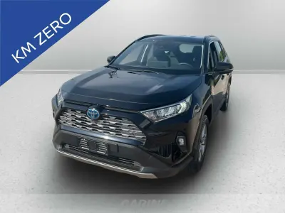 Usata Toyota RAV4 Hybrid