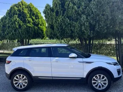 Usata Land Rover Range Rover evoque 150 CV (110 kW) 2016 Bianco SUV