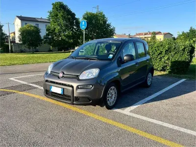Usata Fiat Panda City Life 71 CV (52 kW) 2023 Grigio Utilitaria