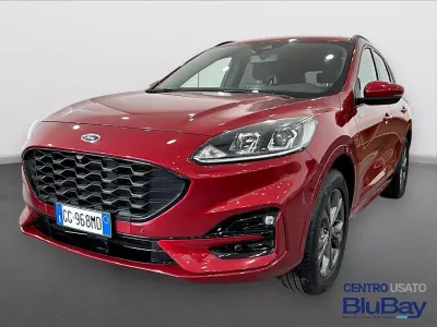 Usata Ford Kuga ST-Line 225 CV (165 kW) 2021 Rosso SUV