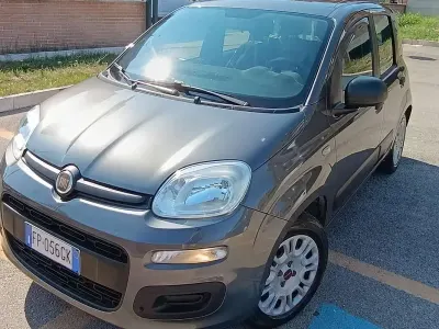 Usata Fiat Panda 69 CV (50 kW) 2018 Grigio Utilitaria