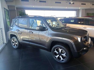 Usata Jeep Renegade Trailhawk 179 CV (131 kW) 2020 Grigio SUV